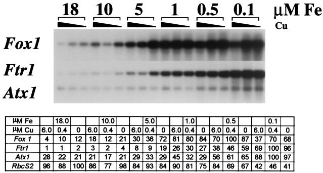 FIG. 5.