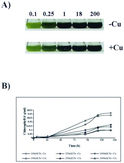 FIG. 12.