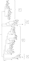 FIG. 1.