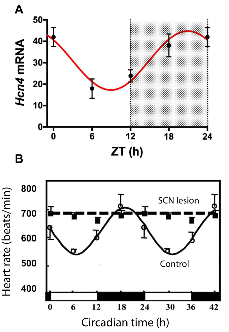 Figure 3