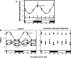 Figure 5