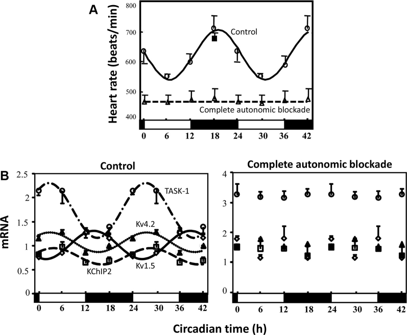 Figure 5