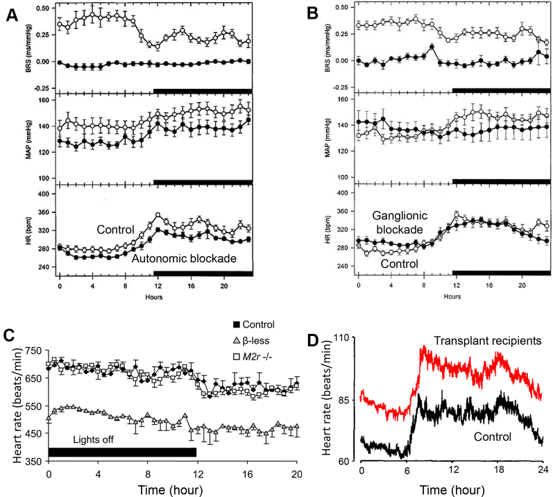 Figure 4