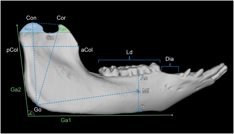 Fig 1