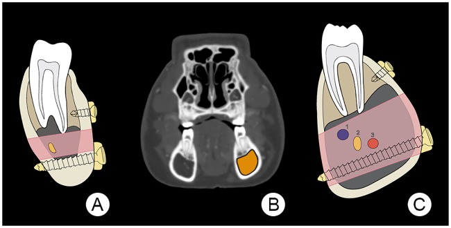 Fig 12