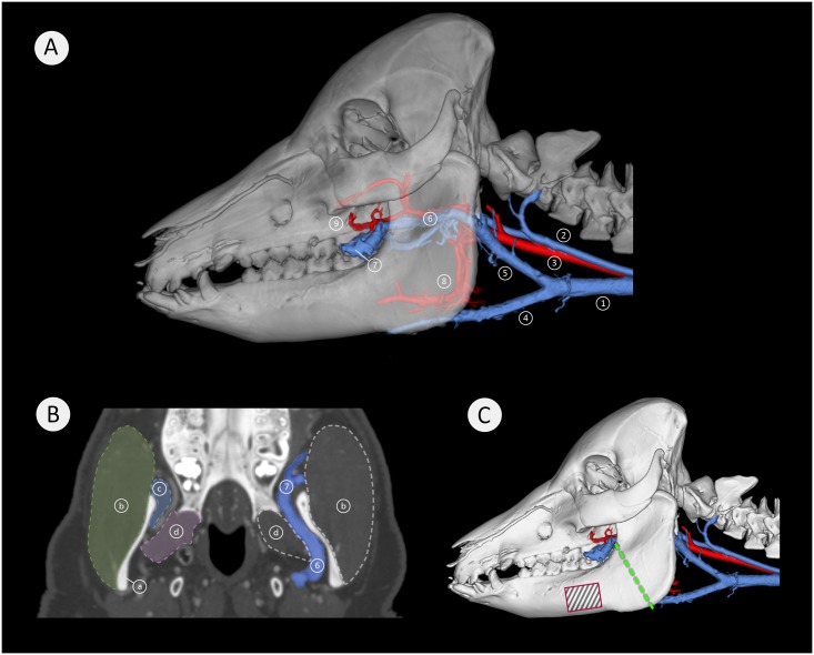 Fig 11