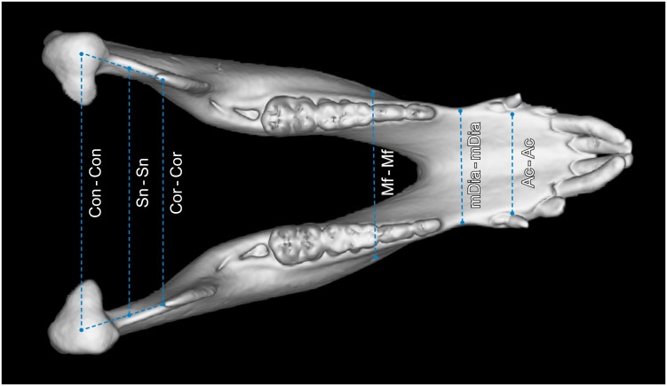 Fig 3