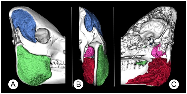 Fig 10