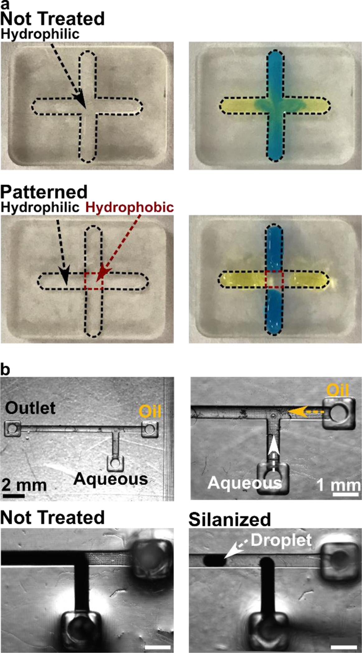 Figure 4: