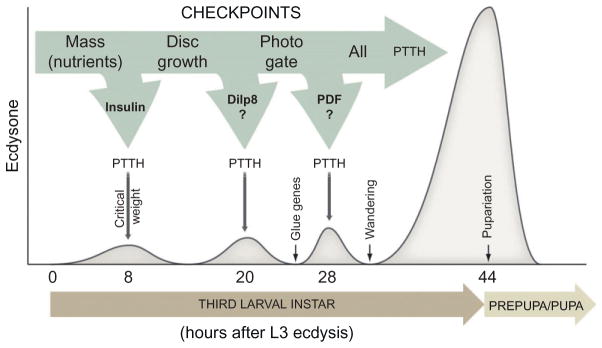 Figure 1.5