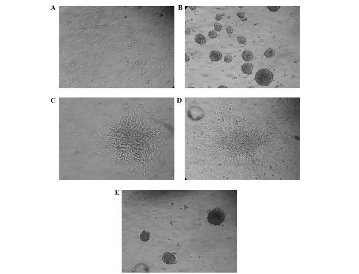 Figure 3.