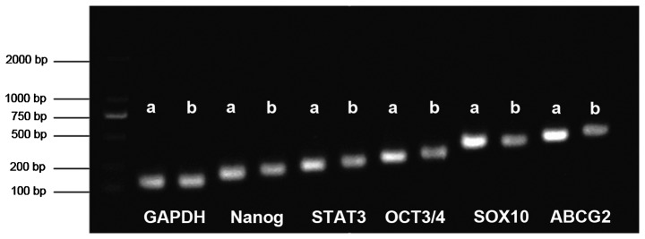 Figure 7.