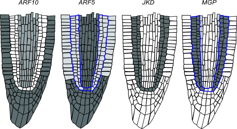 Fig 4