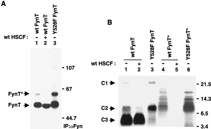 FIG. 8