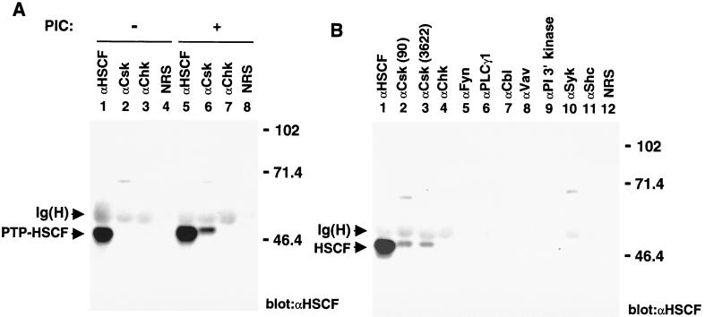 FIG. 6