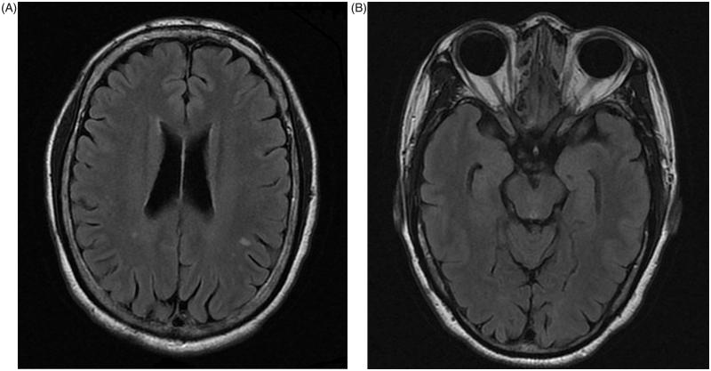 FIGURE 1