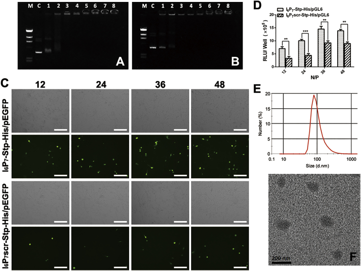 Figure 2