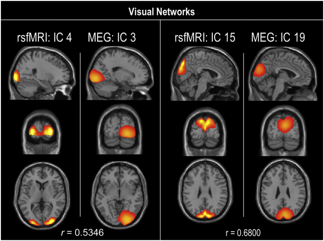 Supplementary Fig. 7