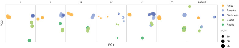 Figure 3—figure supplement 1.