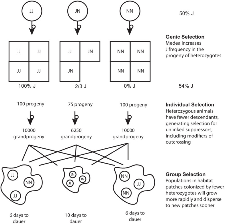 Figure 10—figure supplement 1.