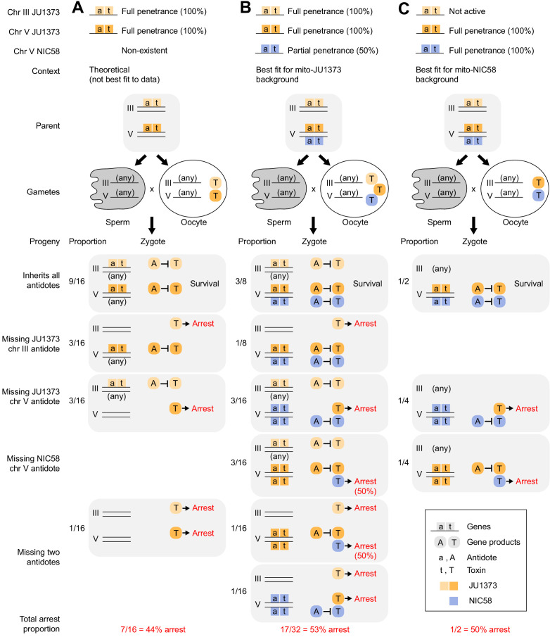 Figure 5—figure supplement 1.