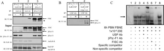 FIG. 5.