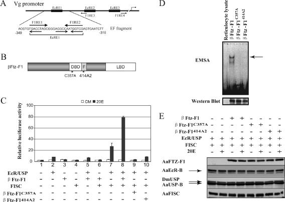 FIG. 4.