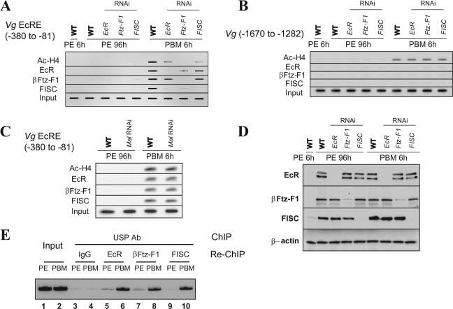 FIG. 8.