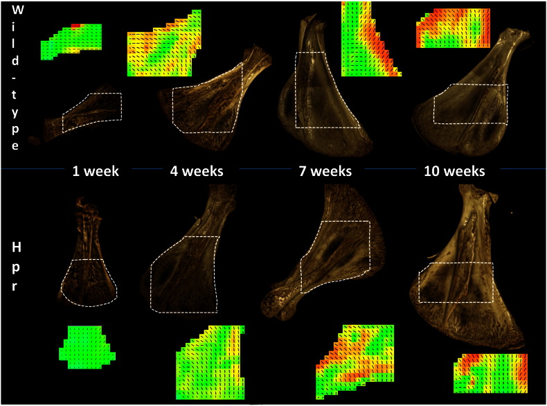 Fig. 2