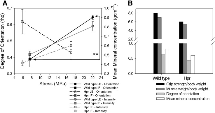 Fig. 7