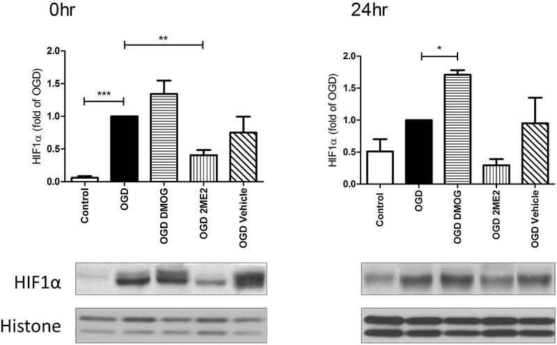 Fig. 2: