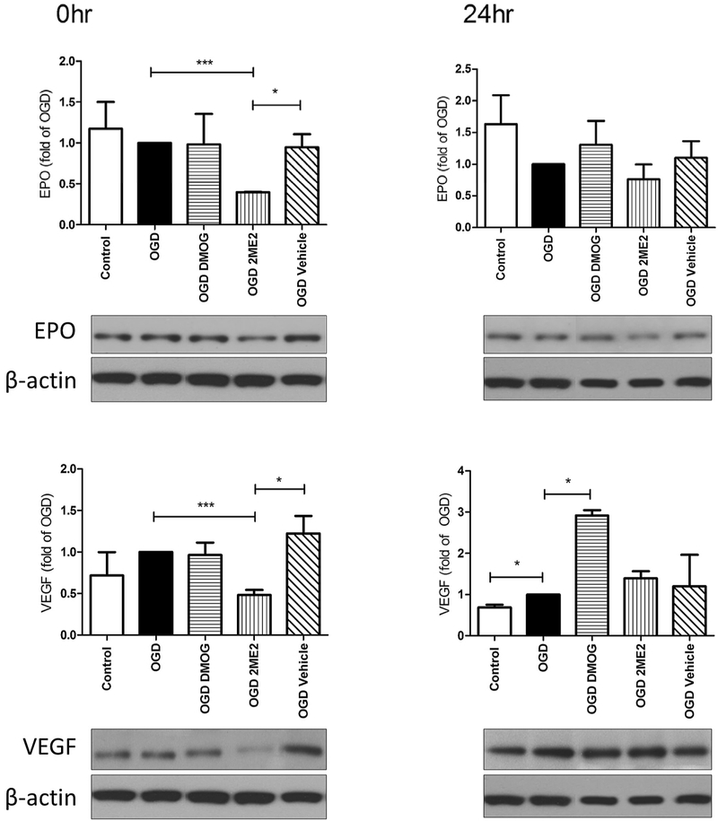 Fig. 4: