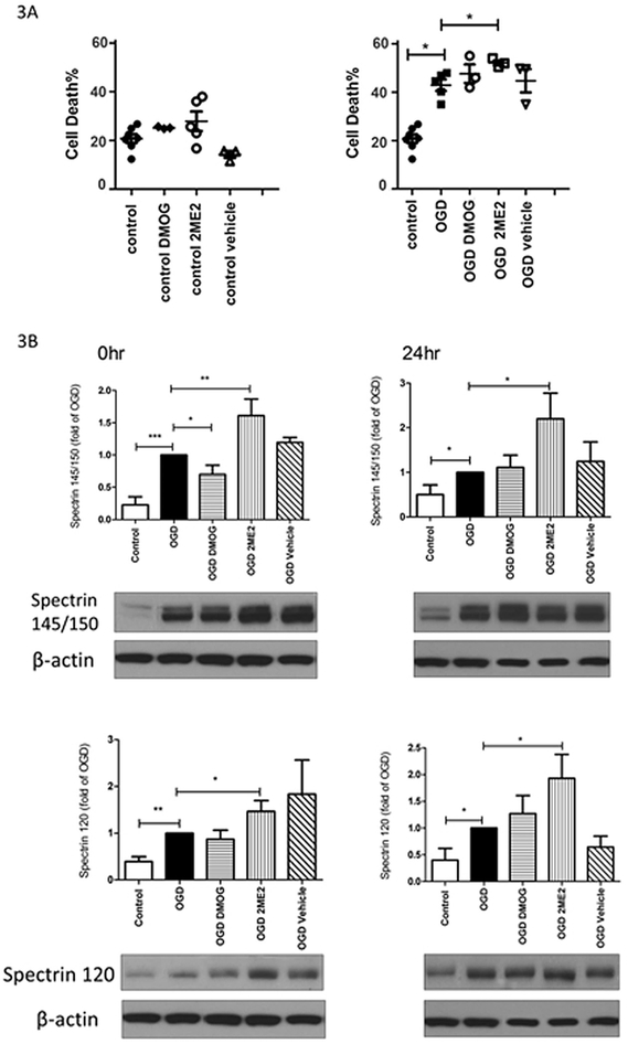 Fig. 3: