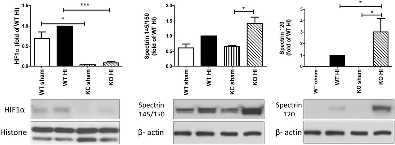 Fig. 5: