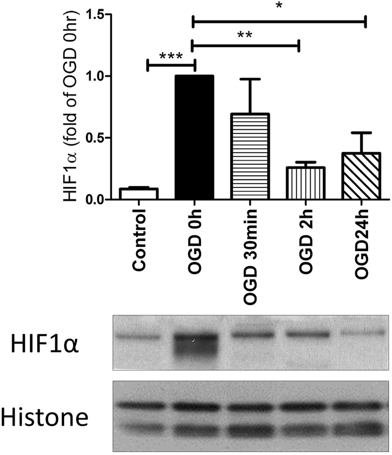 Fig. 1: