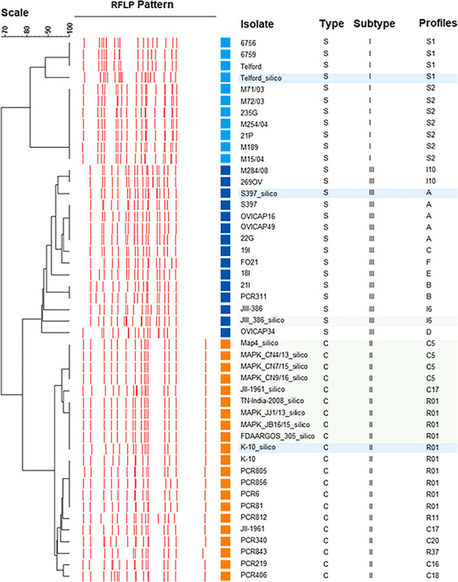 FIGURE 4