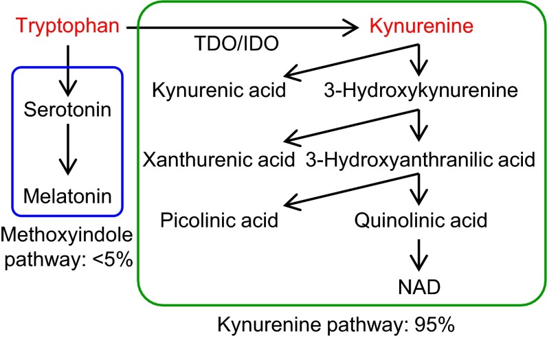 Fig. 4