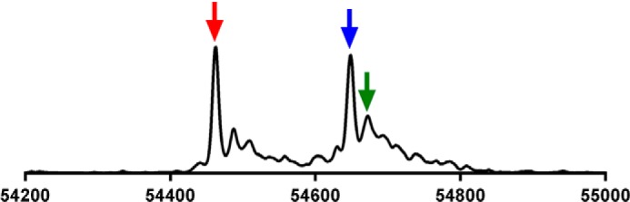 FIGURE 4.