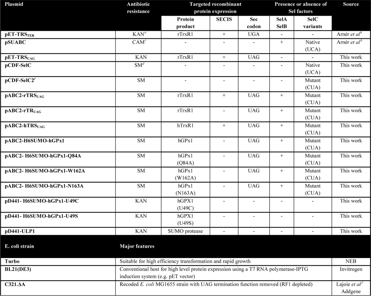 graphic file with name zbc016176405t001.jpg