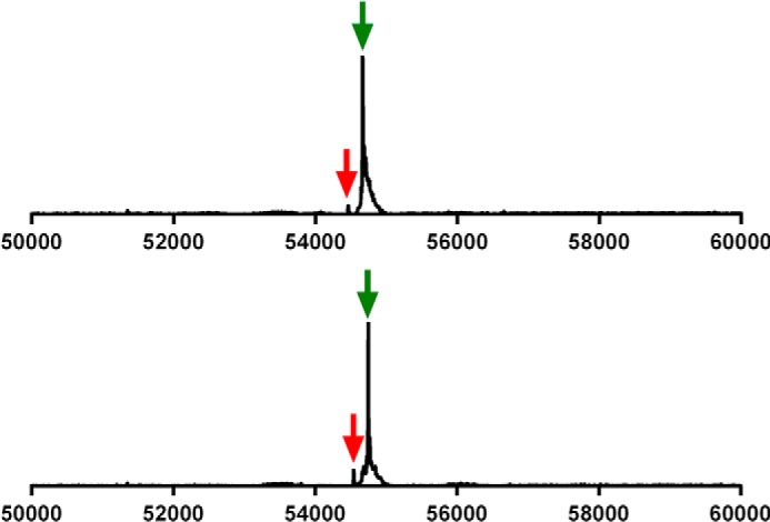 FIGURE 2.