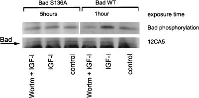 FIG. 7