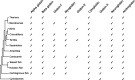 F<sc>ig</sc>. 4.