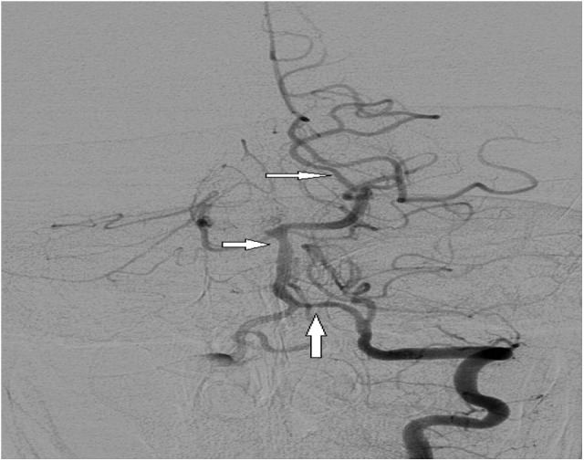 Figure 2.