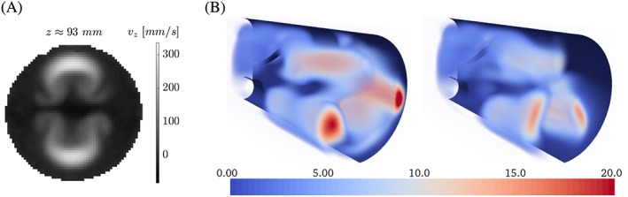 cnm2845-fig-0011