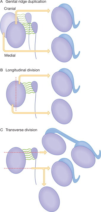 Fig. 12-28