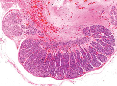 Fig. 12-8