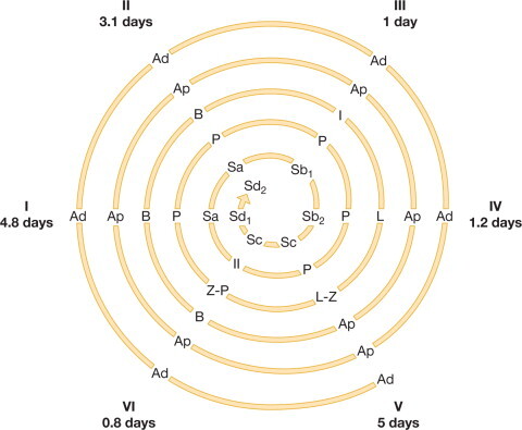 Fig. 12-22