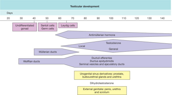 Fig. 12-5