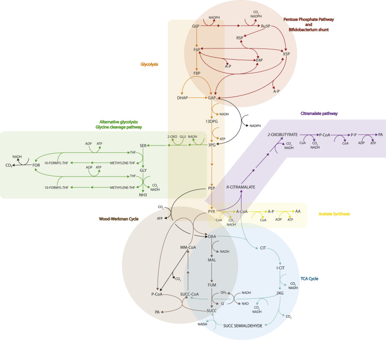 Fig. 2