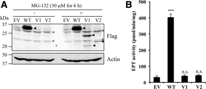 Fig. 8.